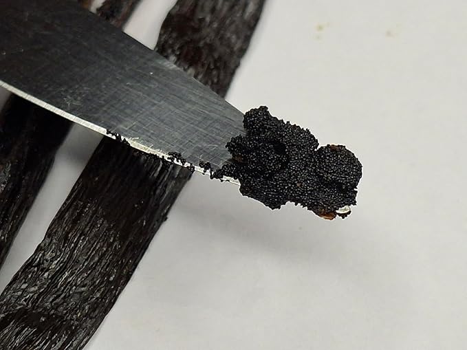 Premium Vanilla Bean Pods – Bulk 1 lb from NY Vanilla