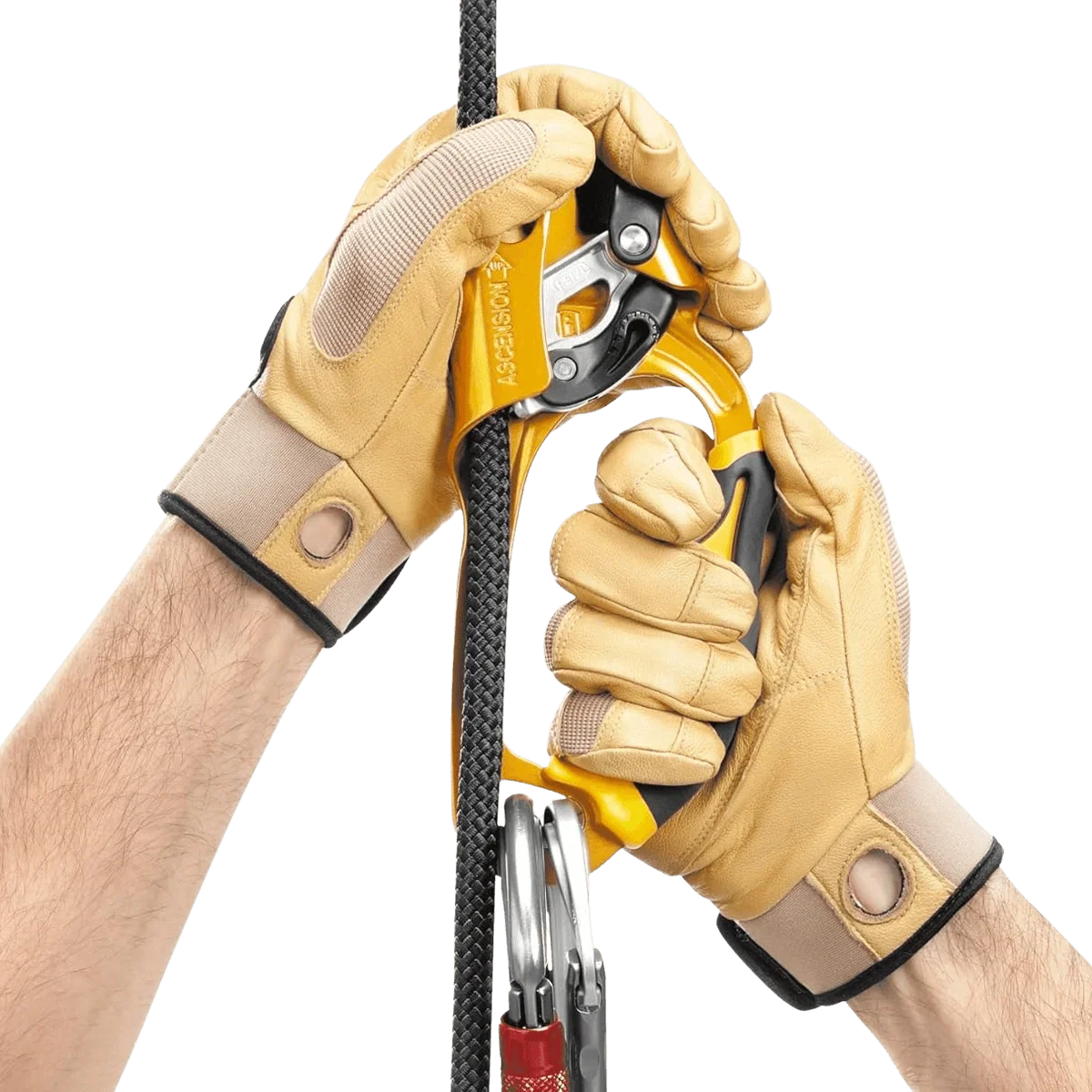 Petzl Ascension Rope Ascender for Climbing