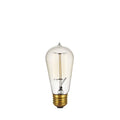 Incandescent Edison Bulb (120/240V)