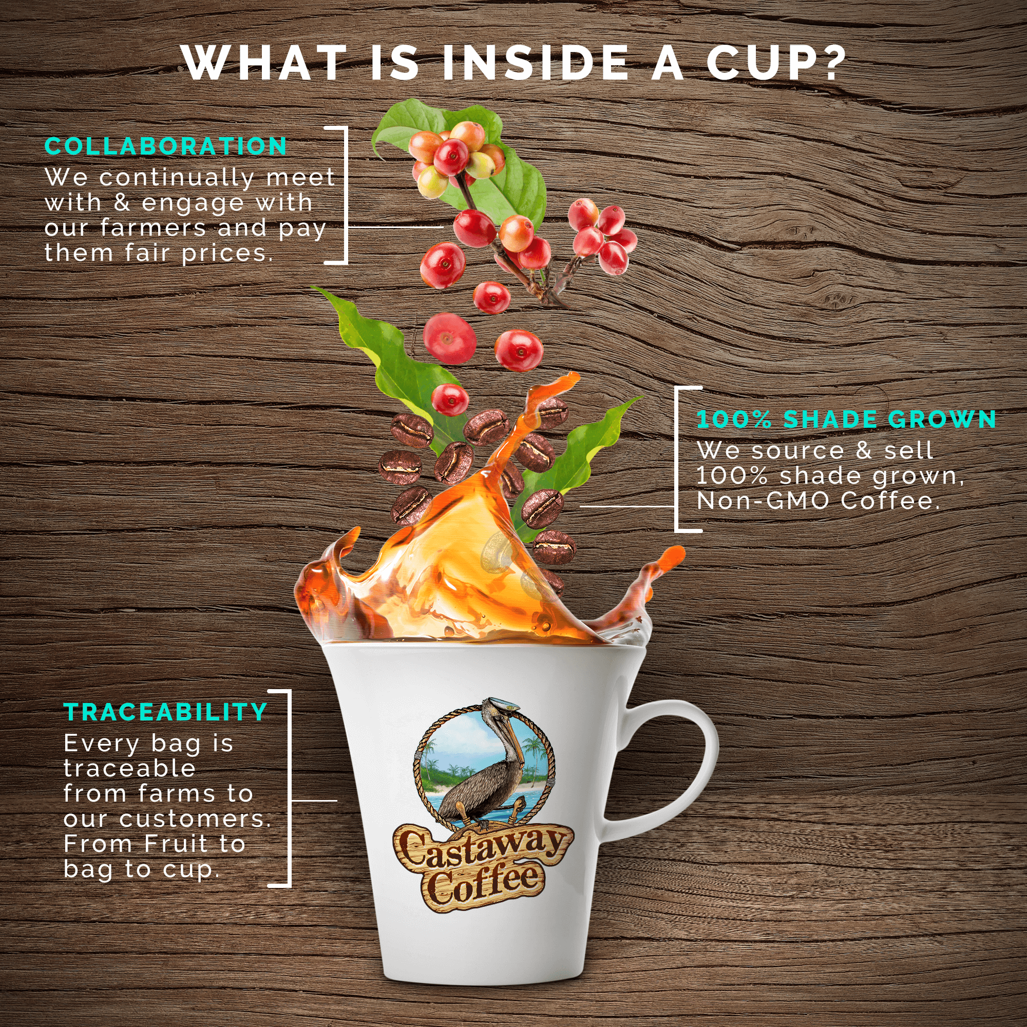 Castaway Coffee B.A.S.S. Kickin' Blend