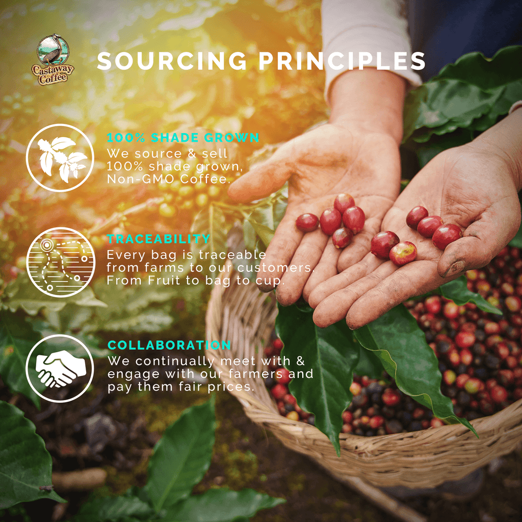 Castaway Coffee Café Cubano Espresso