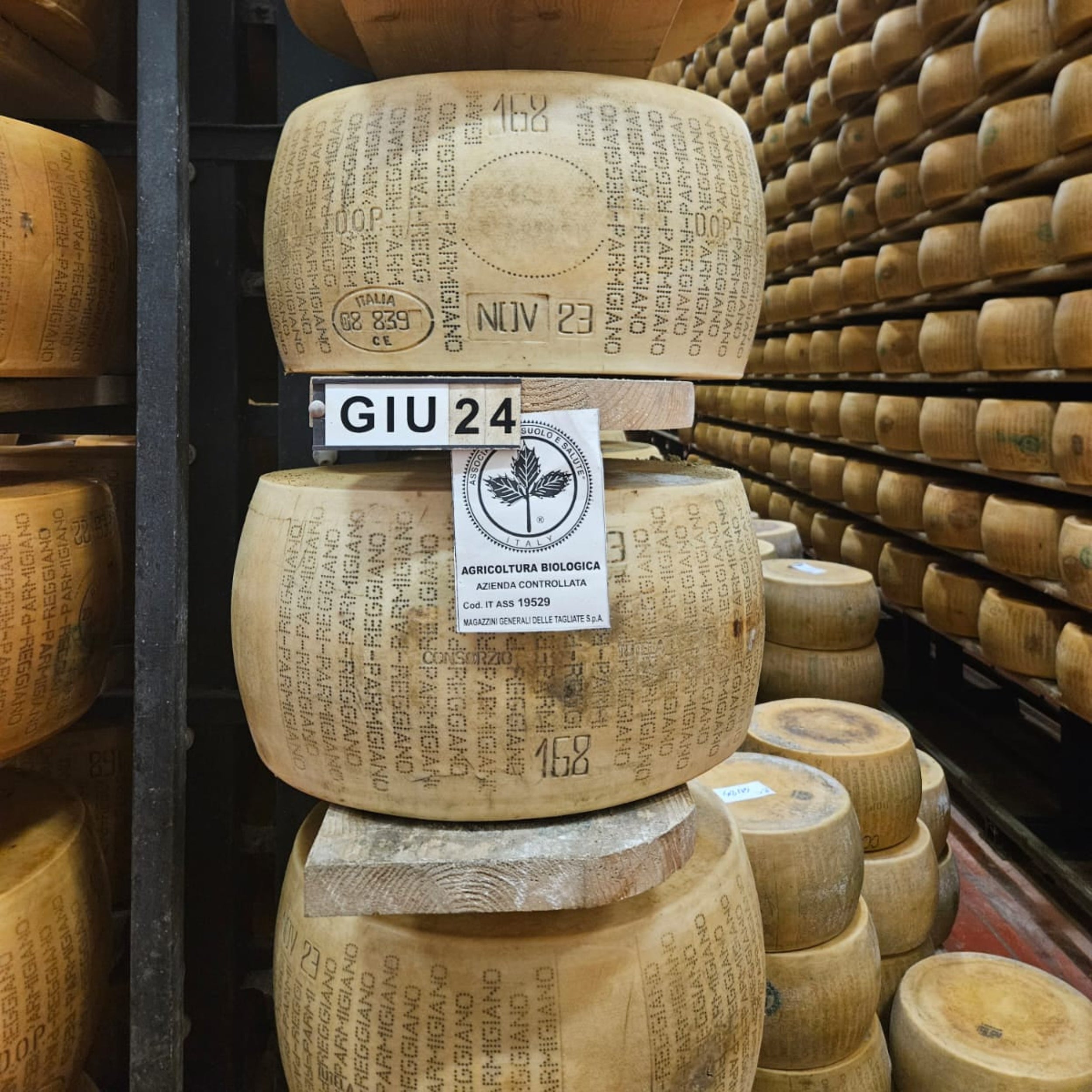 Parmigiano Reggiano Wheel (~85 pounds)