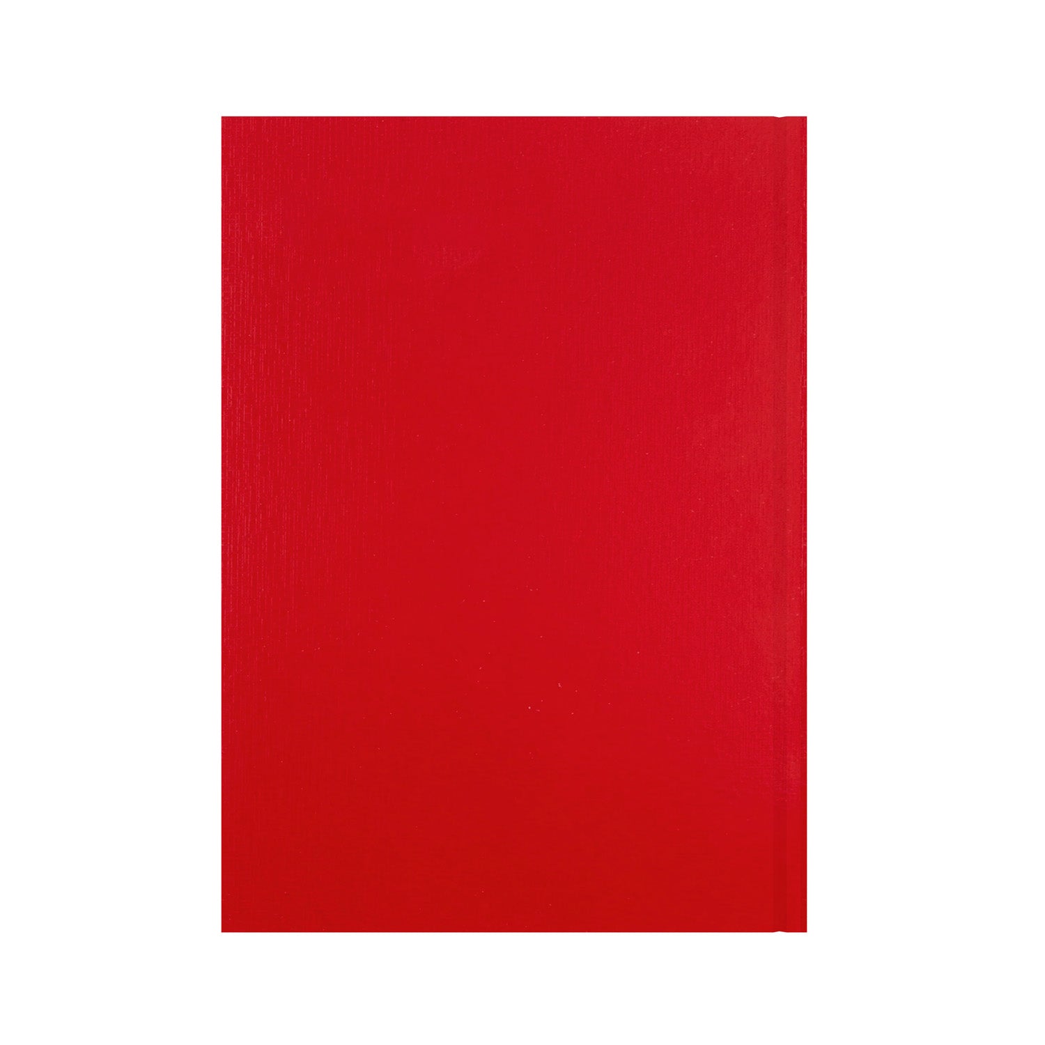 Essentials - A4 Day-to-Page with Appointments Mid/Academic Year Diary Planner 2025-2026