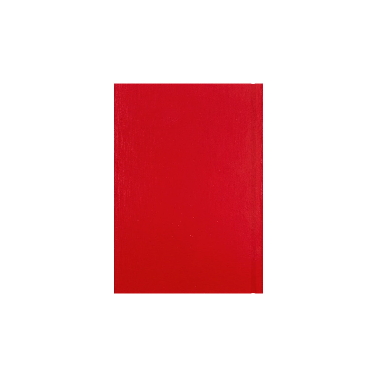 Essentials - A5 Day-to-Page with Appointments Mid/Academic Year Diary Planner, July 2025 - July 2026