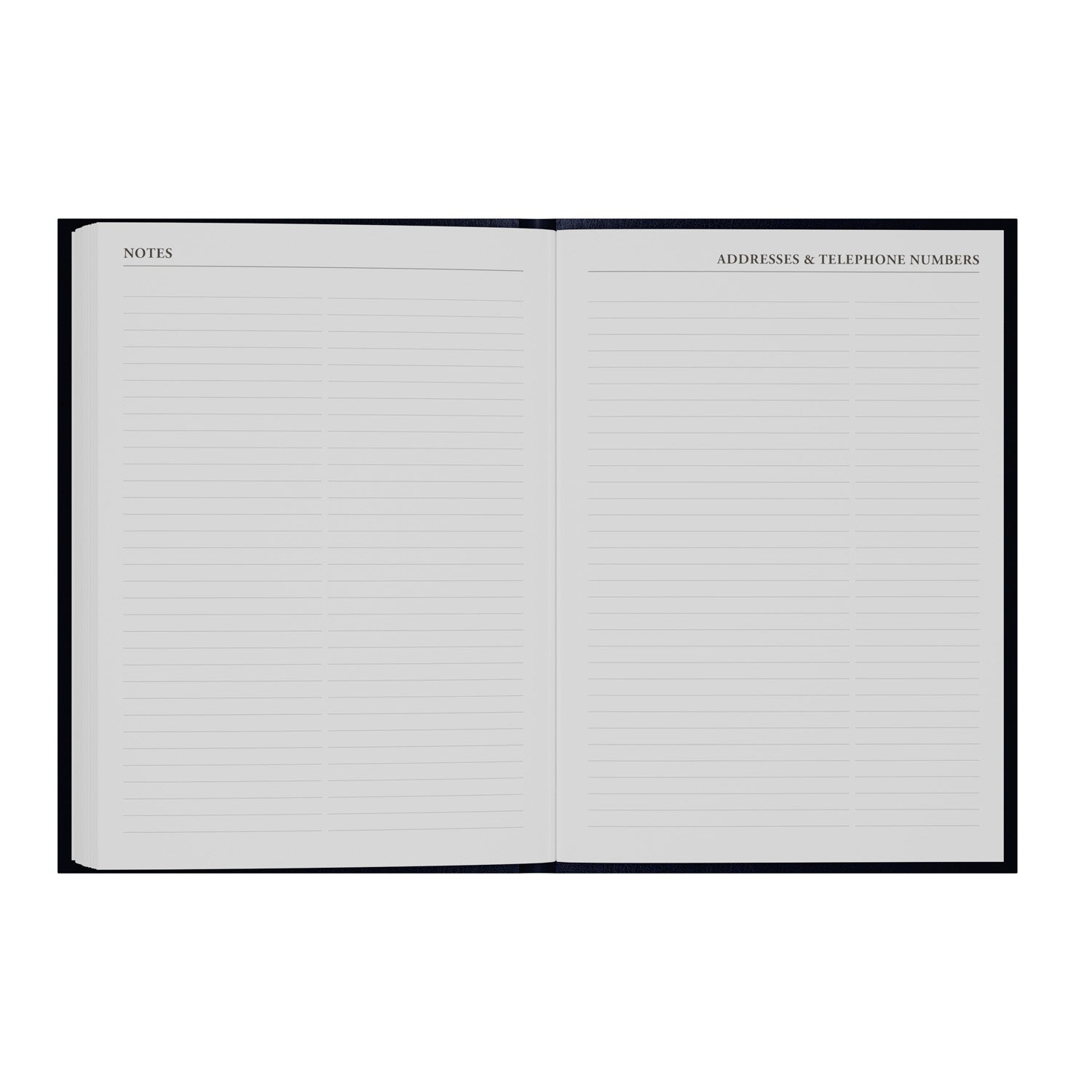 Essentials - A5 Day-to-Page with Appointments Mid/Academic Year Diary Planner, July 2025 - July 2026