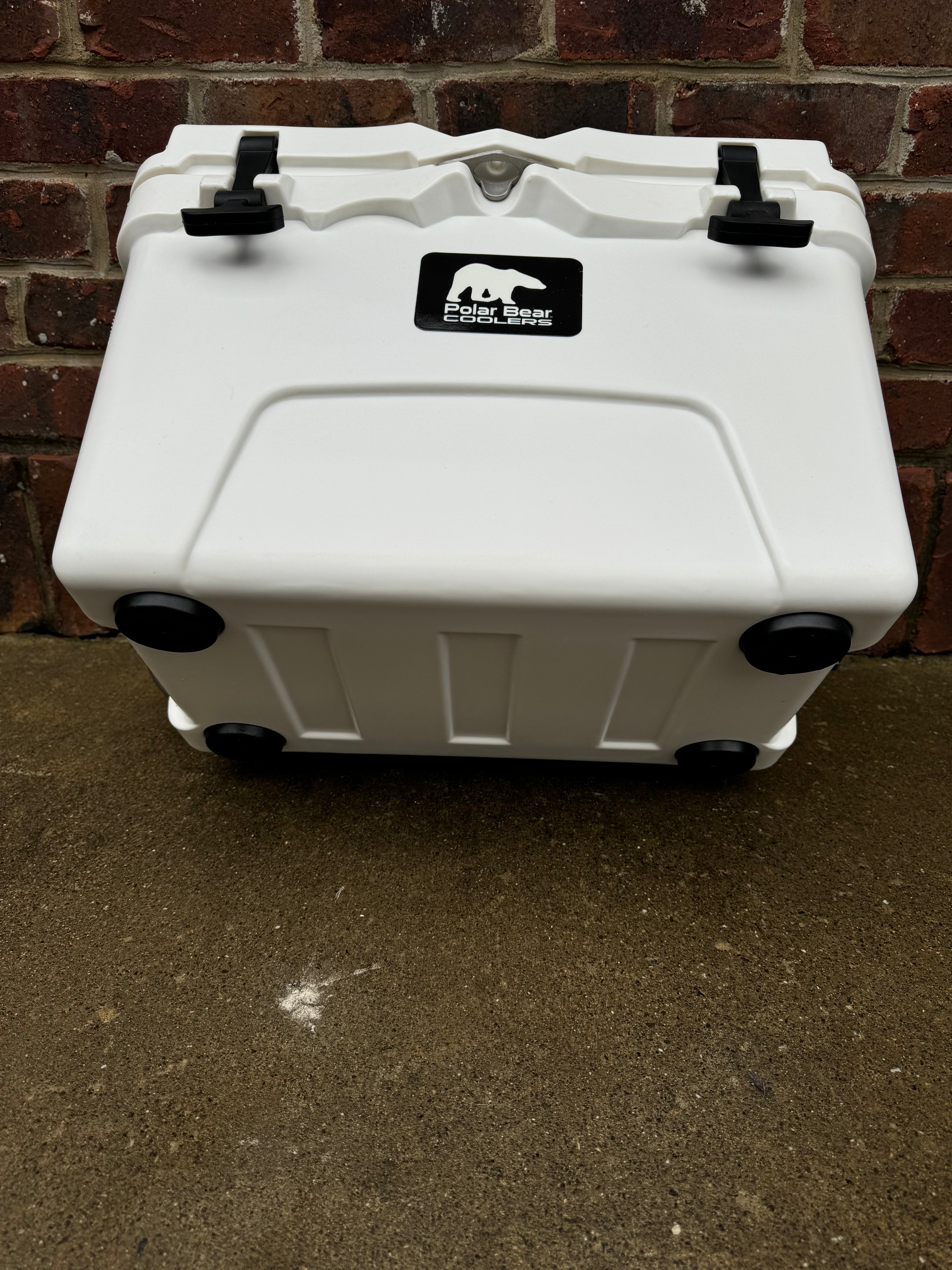 Polar Bear 20 Hard Cooler