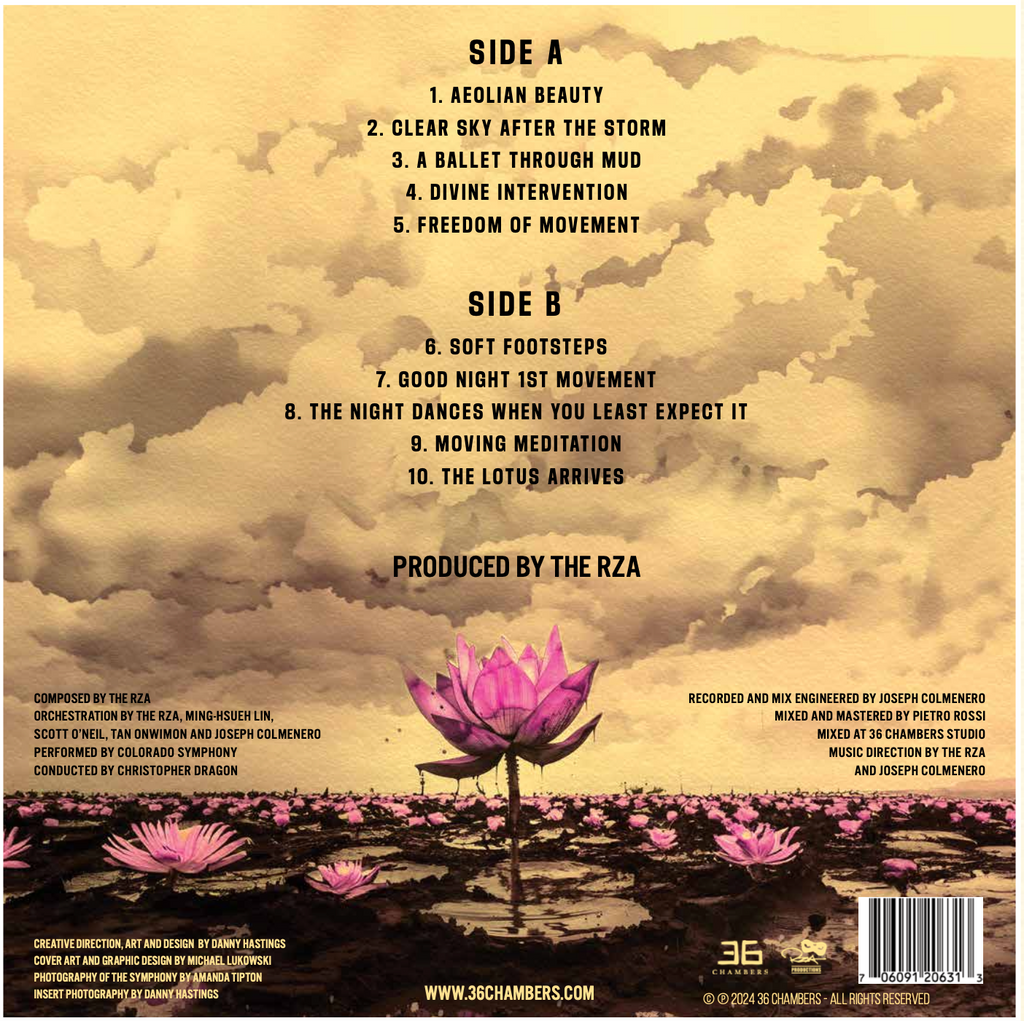 A Ballet Through Mud: Standard Edition Vinyl