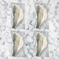 Branzino Fillet 2 x Portions per Pack, Skin On (Bulk Case)