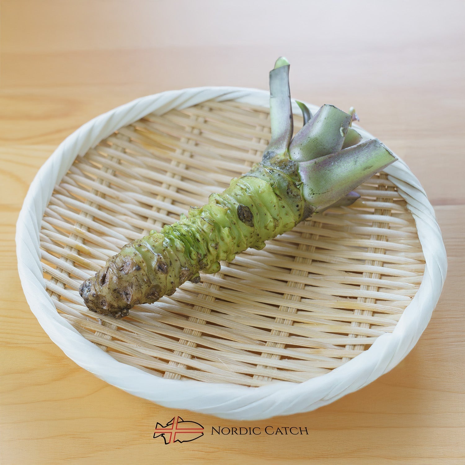 Fresh Japanese Wasabi Root + Steel Shark Grater Bundle