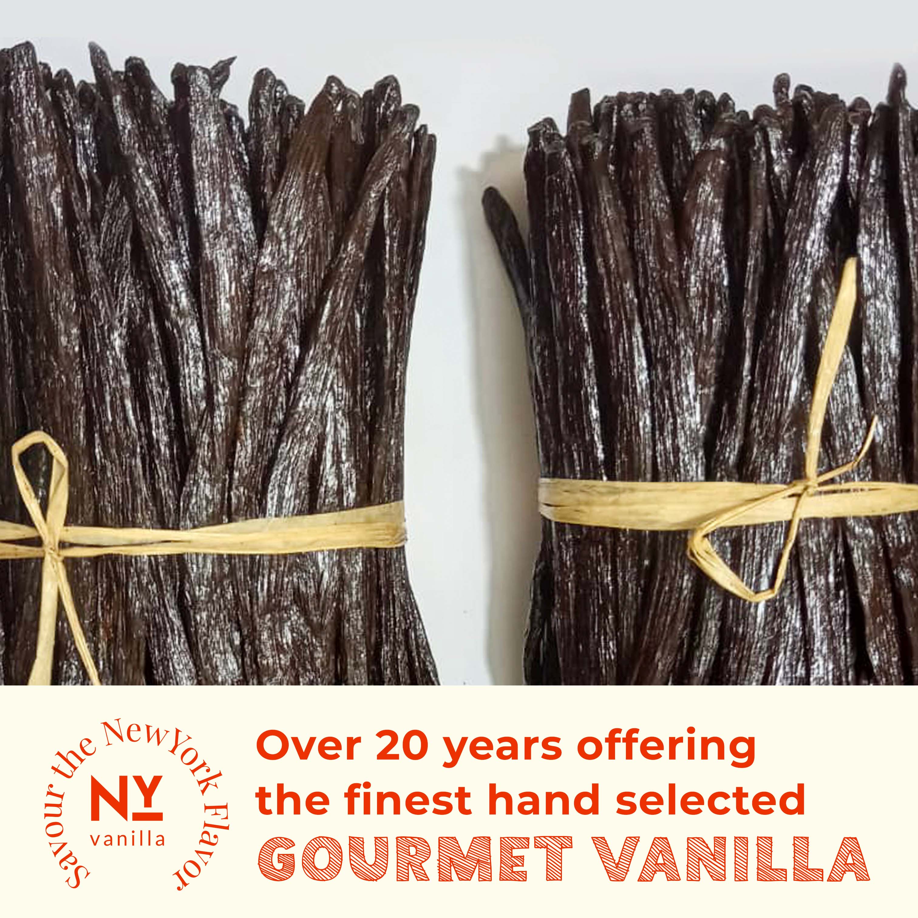 Buy Bulk Vanilla Beans for Baking, Extracts & More – Grade A (1 lb Pack)