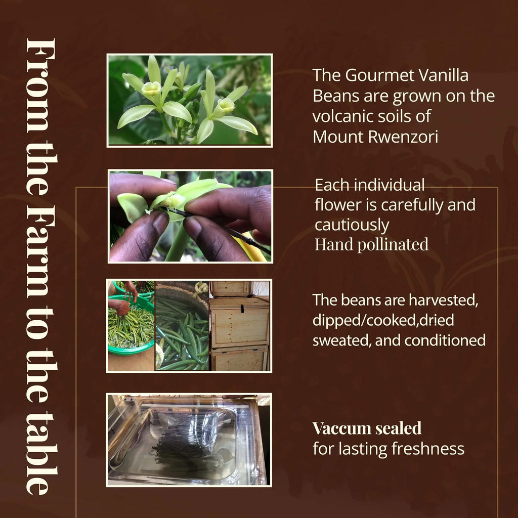 25 Premium Vanilla Beans Grade A  – Gourmet Vanilla Pods for Baking & Extract