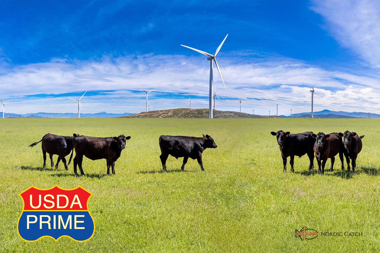 Natural Black Angus Prime Filet Mignon Steak, Grass Fed (Bulk Case)